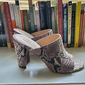 Steve Madden Esmeralda Heeled Mule